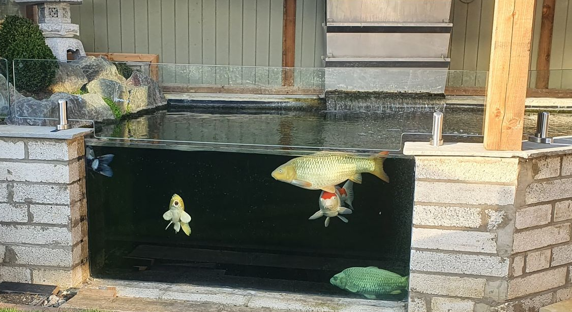 Jump Guard™ EdgeMount Post installed on a raised koi pond